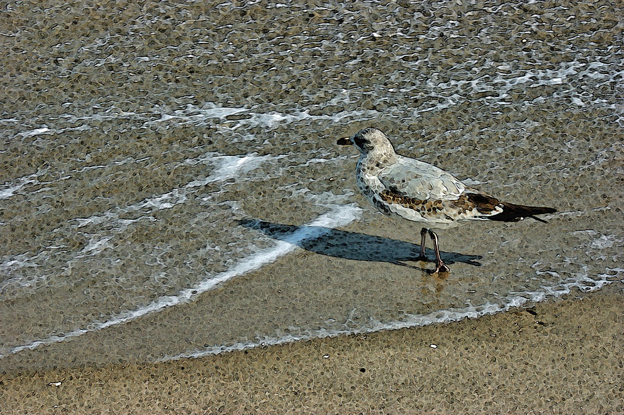 Wading In The Atlantic Stylized Photograph