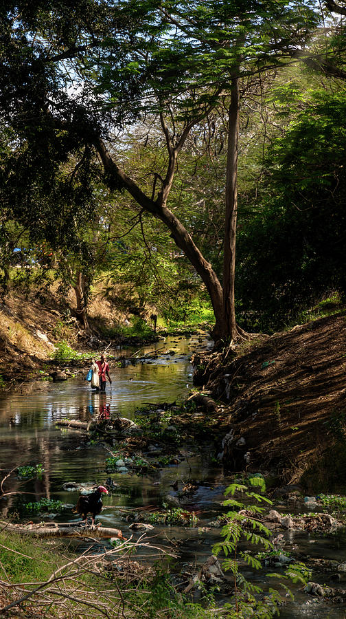 Wading the Jatibonico river Photograph by Micah Offman