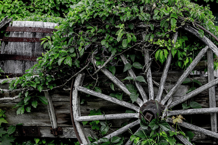 Wagon Wheel Photograph by Denise Kopko