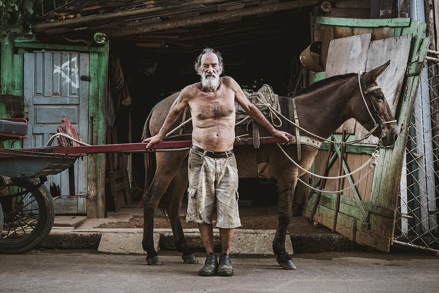 Wagon horse worker, Brazil Photograph by Igor Alecsander