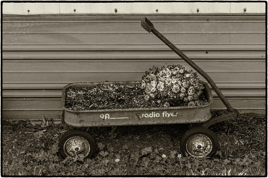 Wagon Planter Bw Photograph