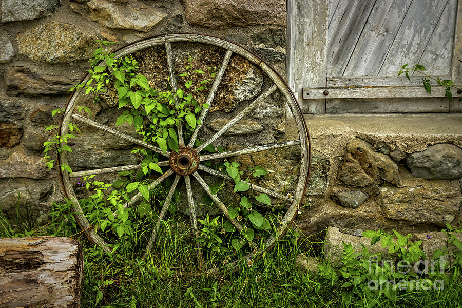 Wagon Wheel Photograph by Elizabeth Dow