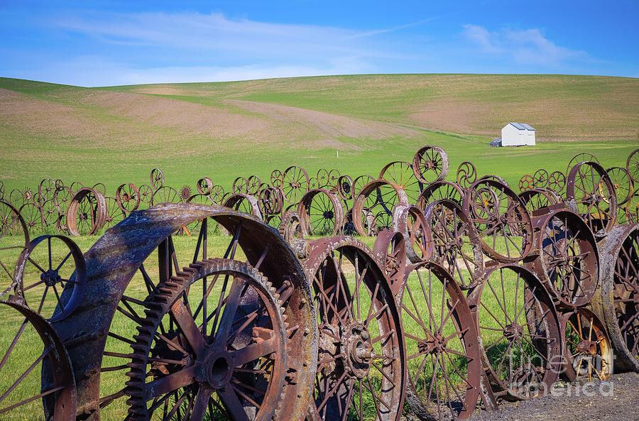 Wagon Wheel Fence Photograph by Inge Johnsson