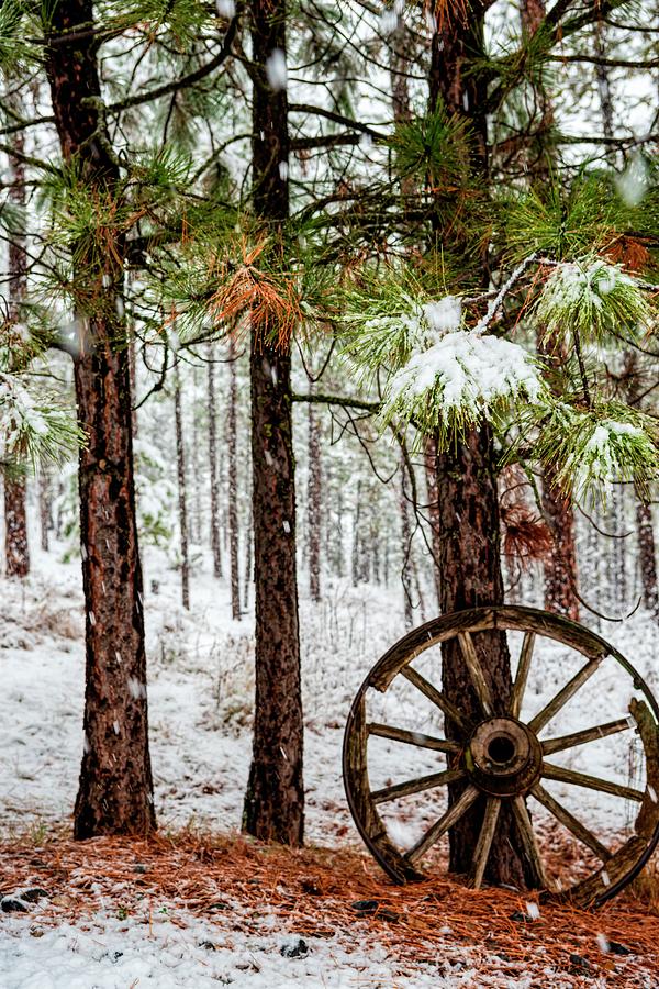 Wagon Wheel Snow Photograph by Pamela Dunn-Parrish