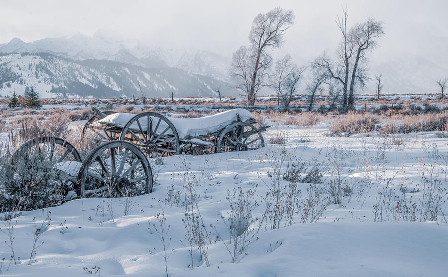 Wagons in the Snow, Grand Tetons Photograph by Marcy Wielfaert
