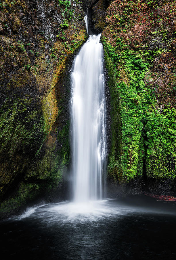 Wahclella Falls Photograph by Rudy Wilms
