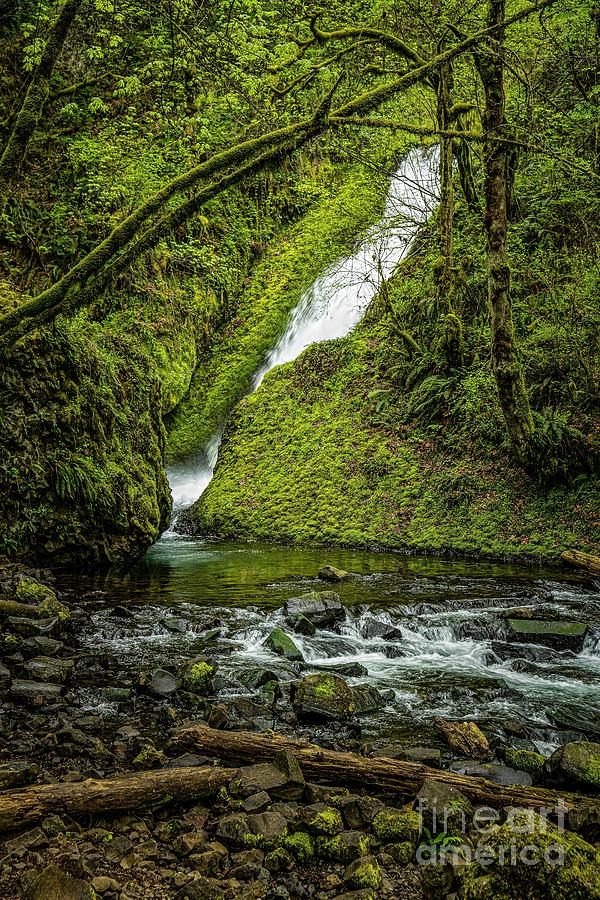 Waterfall Photograph - Wahkeena Falls by Jon Burch Photography