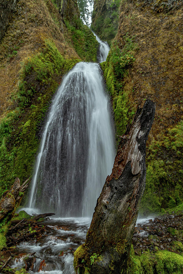 Wahkeenah Falls, Oregon 3 Photograph by Cindy Robinson
