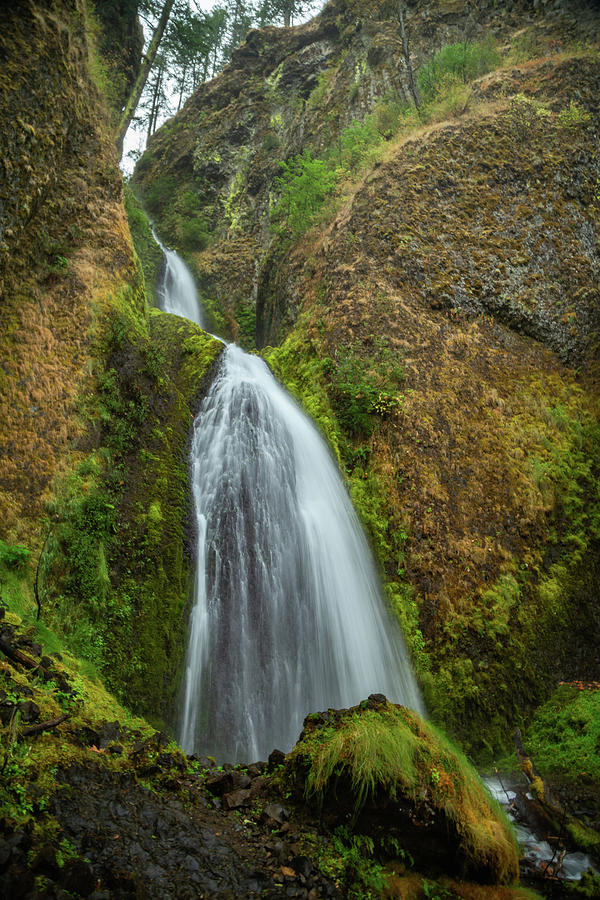 Wahkeenah Falls, Oregon 5 Photograph by Cindy Robinson