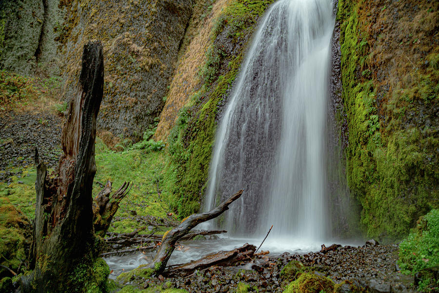 Wahkeenah Falls, Oregon 6 Photograph by Cindy Robinson