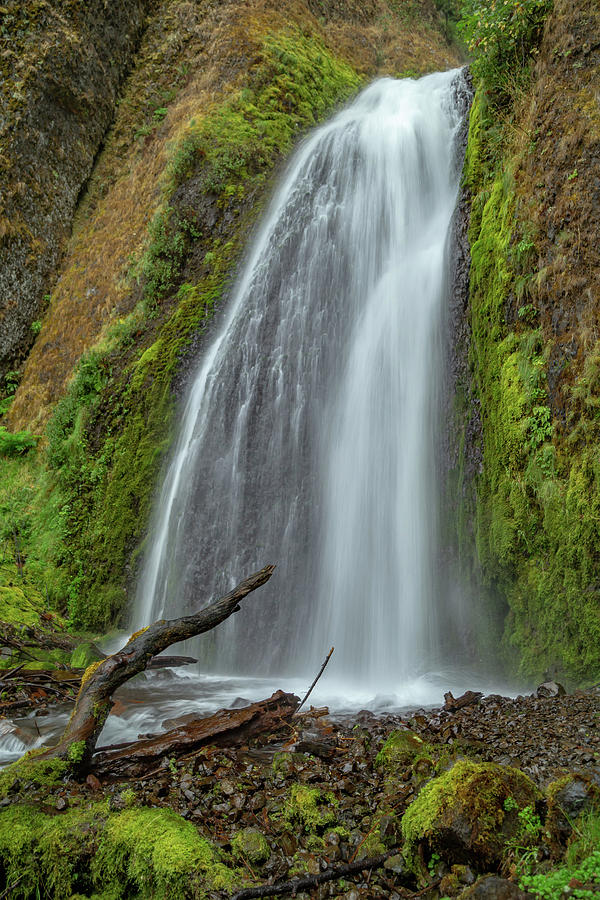 Wahkeenah Falls, Oregon Photograph by Cindy Robinson