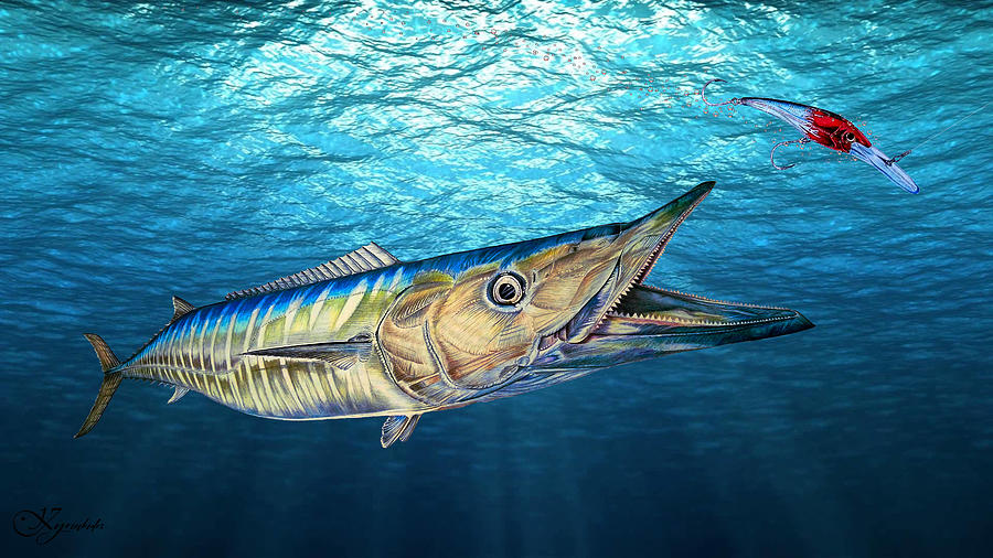 Wahoo And Dx Minnow Mixed Media By Paul Kyriakides - Pixels