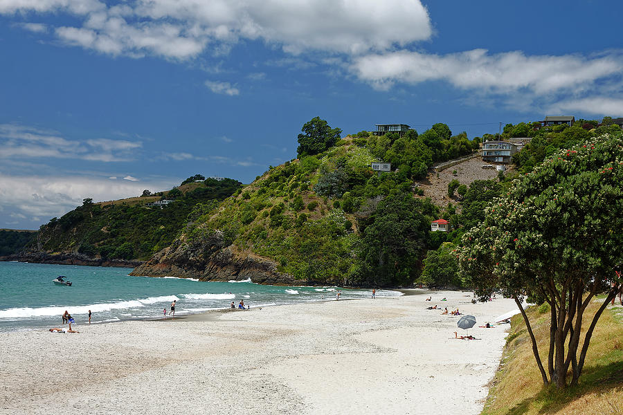 Waiheke Island Beach Scene Photograph By Sally Weigand 