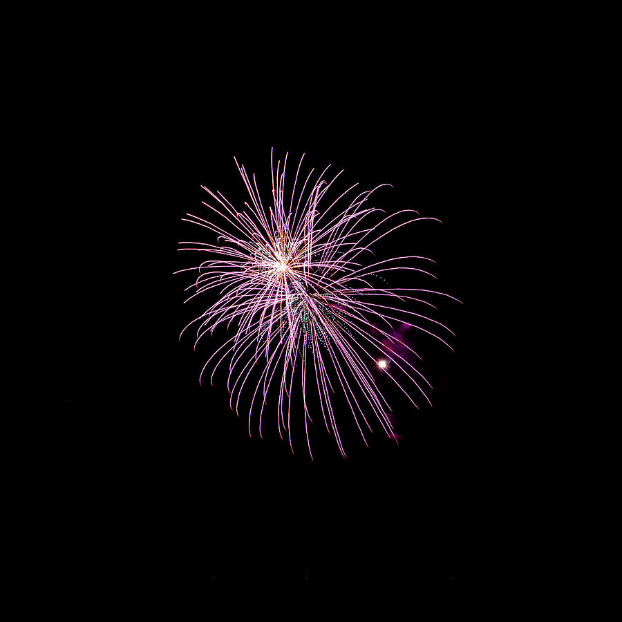 Waikiki Fireworks - Purple Burst Photograph by Anthony Jones