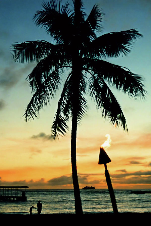 Sunset Photograph - Waikiki Sunset by DJ Florek