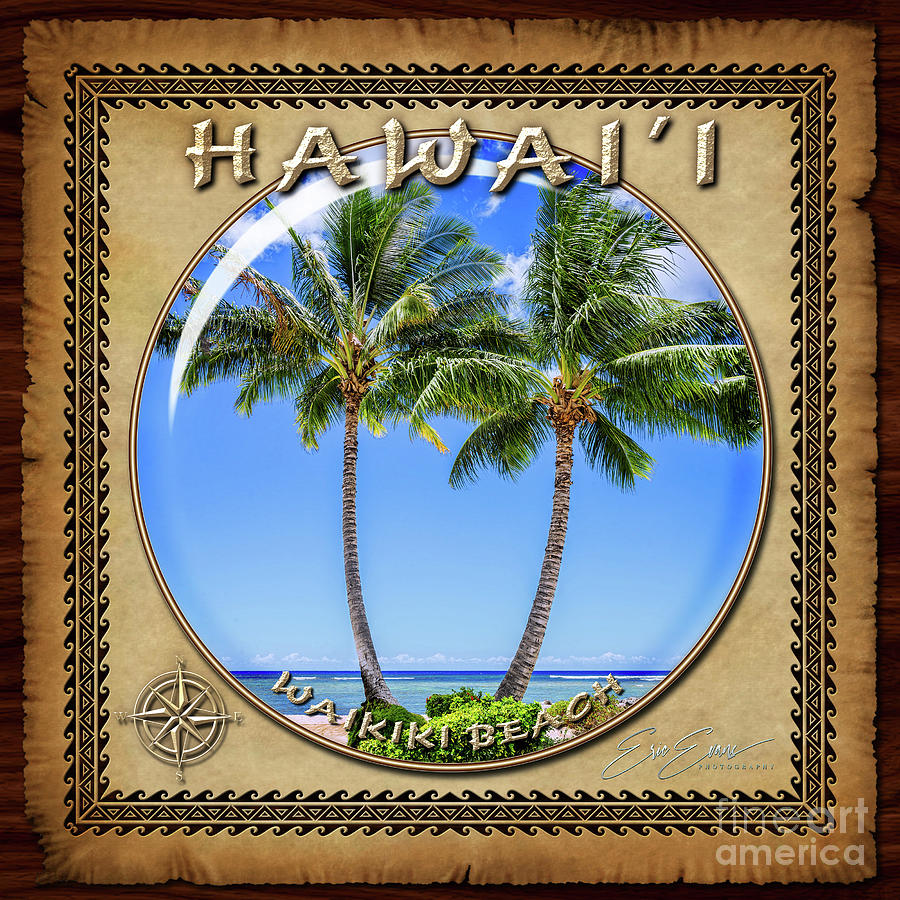 Waikikis Twin Palm Trees Sphere Image with Hawaiian Style Border Photograph by Aloha Art