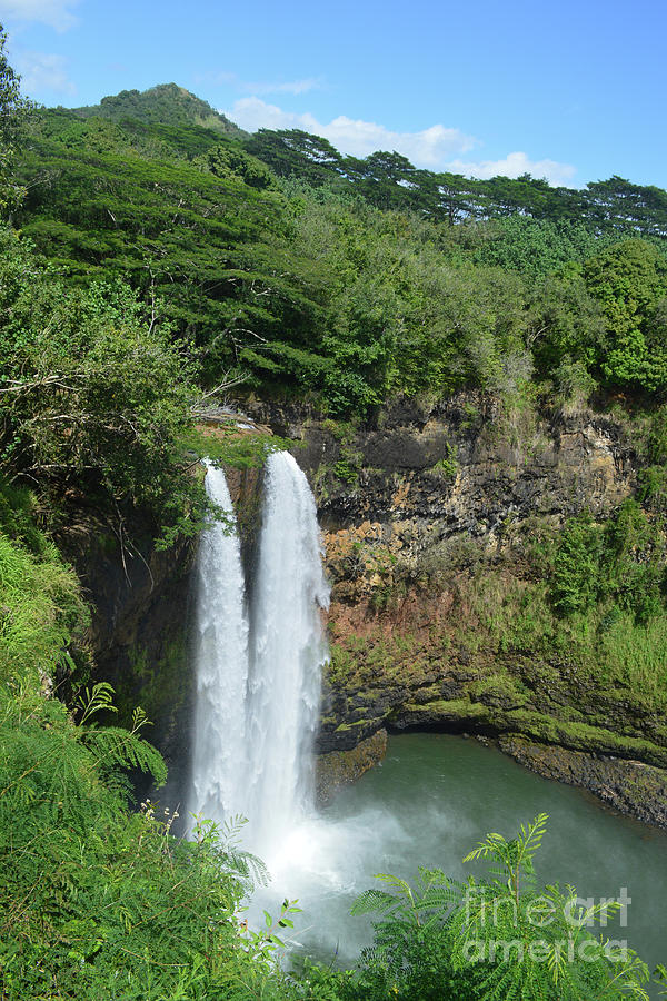 Wailua Falls in Kauai Photograph by Catherine Sherman