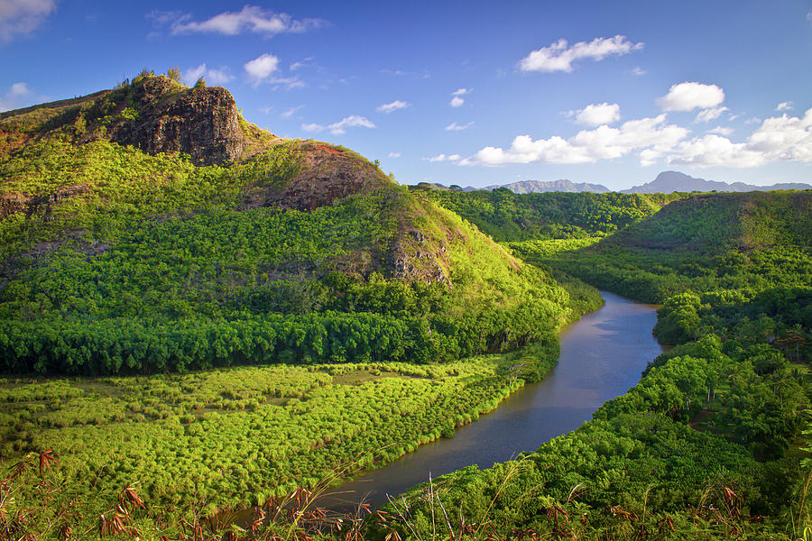 Wailua River State Park Photograph by Mark Chandler - Pixels