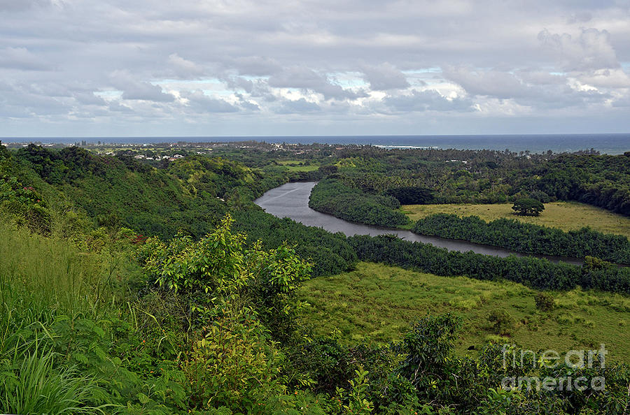 Wailua River Valley Photograph by Cindy Murphy