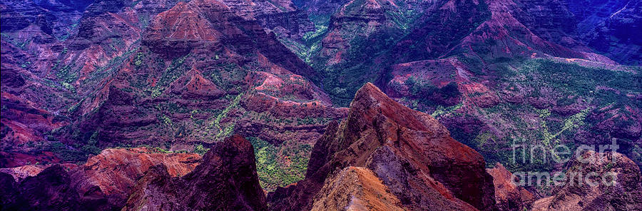 Waimea, canyon, Kauai, Hawaii pan 2  Photograph by Tom Jelen