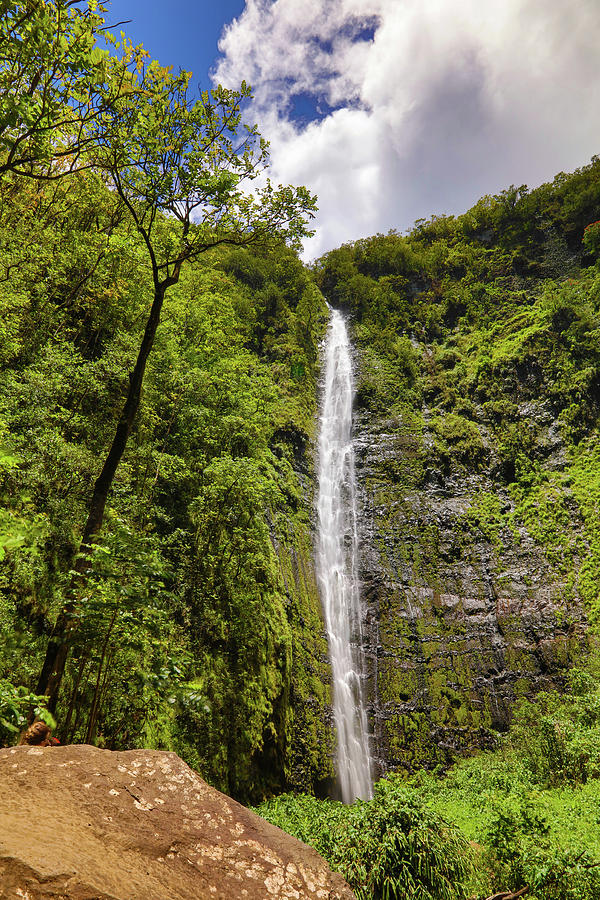 Waimoku Falls, Pipiwai Trail Photograph by AJ Dahm