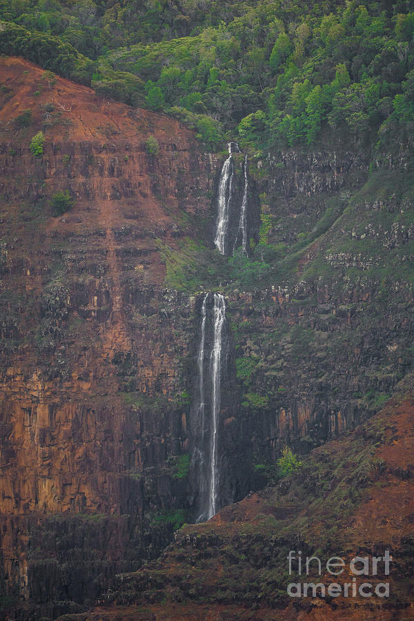 Tree Photograph - Waipoo Falls in Waimea Canyon on Kauai, Hawaii by Nancy Gleason