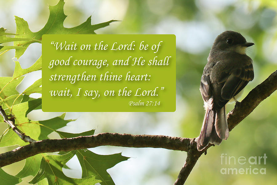 Wait on the Lord Photograph by Anita Oakley