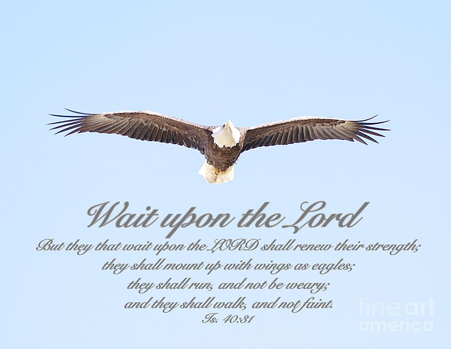 Wait upon the Lord Photograph by Yvonne M Smith