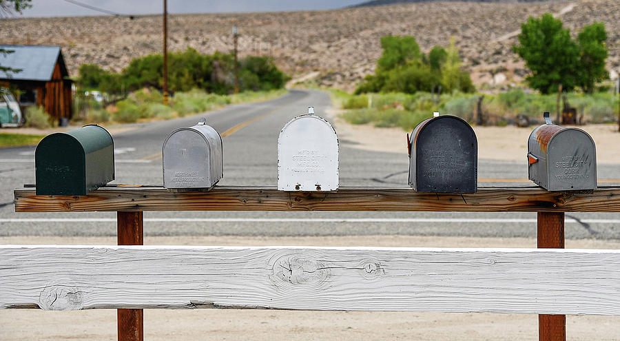 Waiting for Mail Photograph by Lynn Thomas Amber