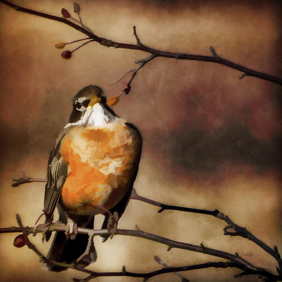 Robin Painting - Waiting For Spring by Jordan Blackstone