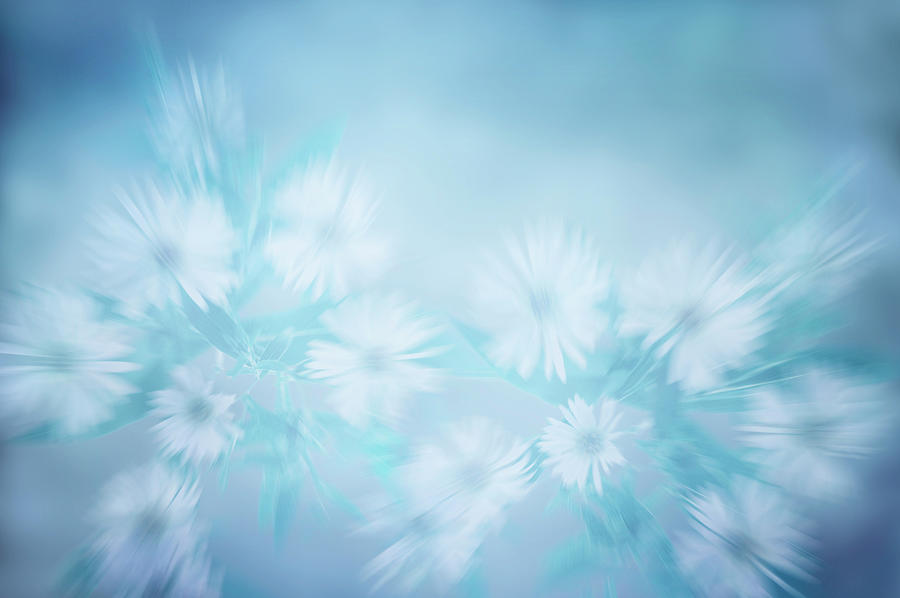 Flowers Mixed Media - Waiting For Spring by larisa Fedotova Flowers Mixed Media - Waiting For Spring by larisa Fedotova