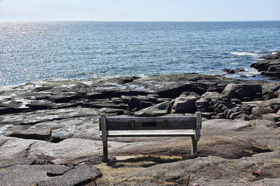 Waiting For Summer At The Maine Coast Photograph by Tricia Marchlik
