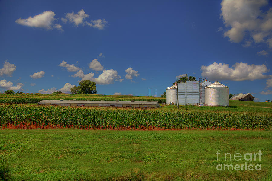 Landscape Photograph - Waiting for the Corn to Ripen  by Larry Braun