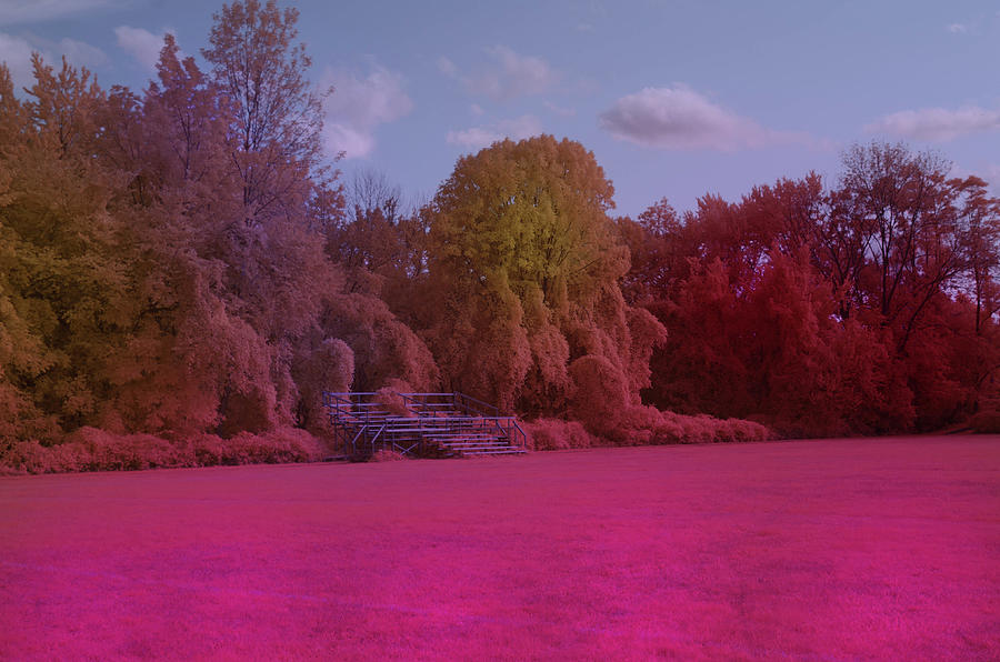 Waiting for the Fans in Infrared Photograph by Alan Goldberg