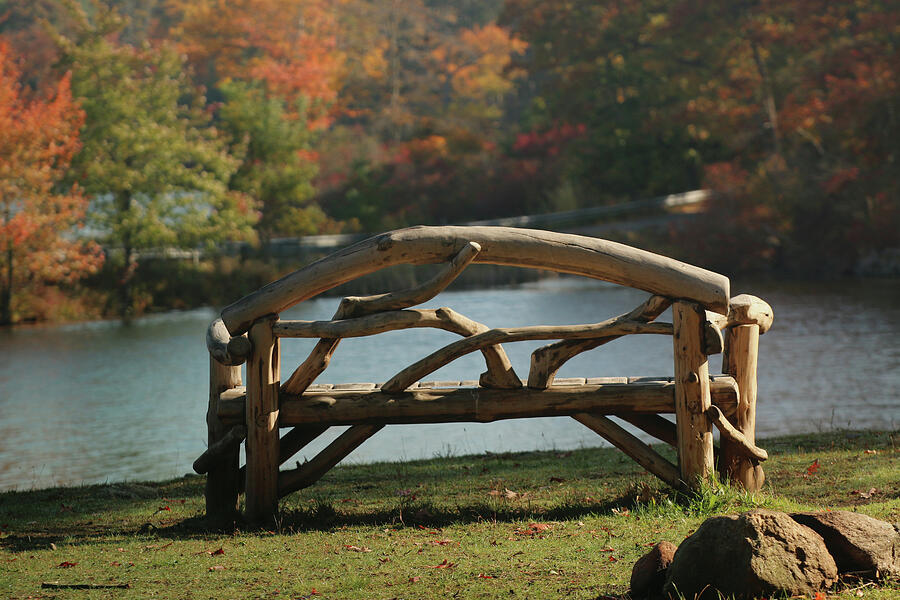 Waiting for you Photograph by Laurie Lago Rispoli