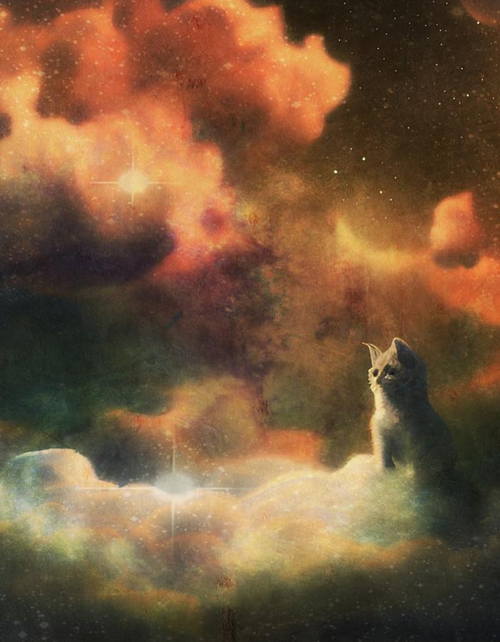 Waiting In The Clouds  Digital Art by Ally White