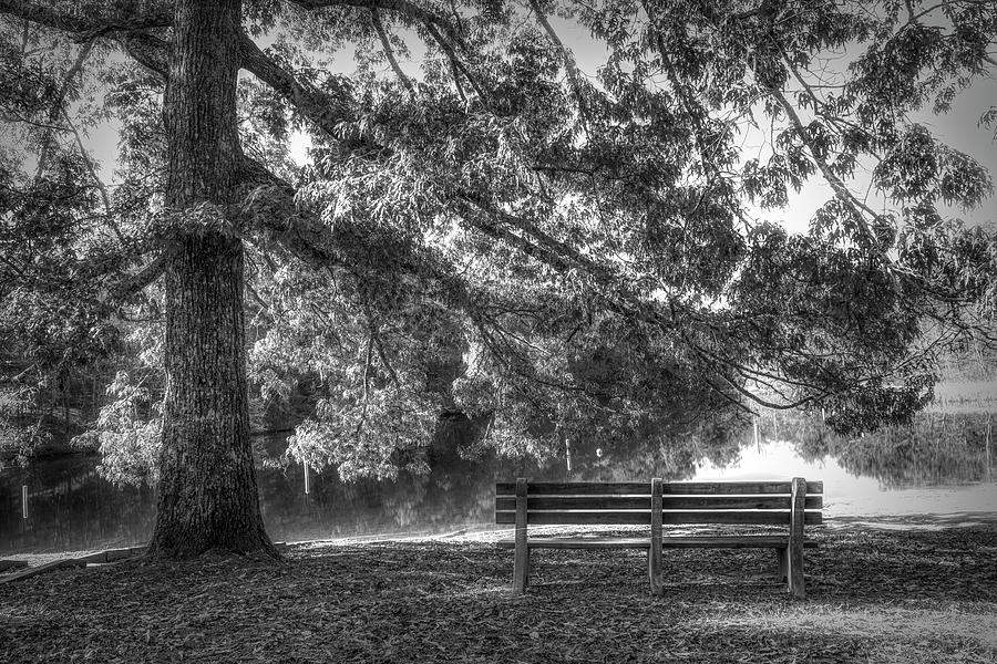 Waiting in the Fall Black and White Photograph by Debra and Dave Vanderlaan