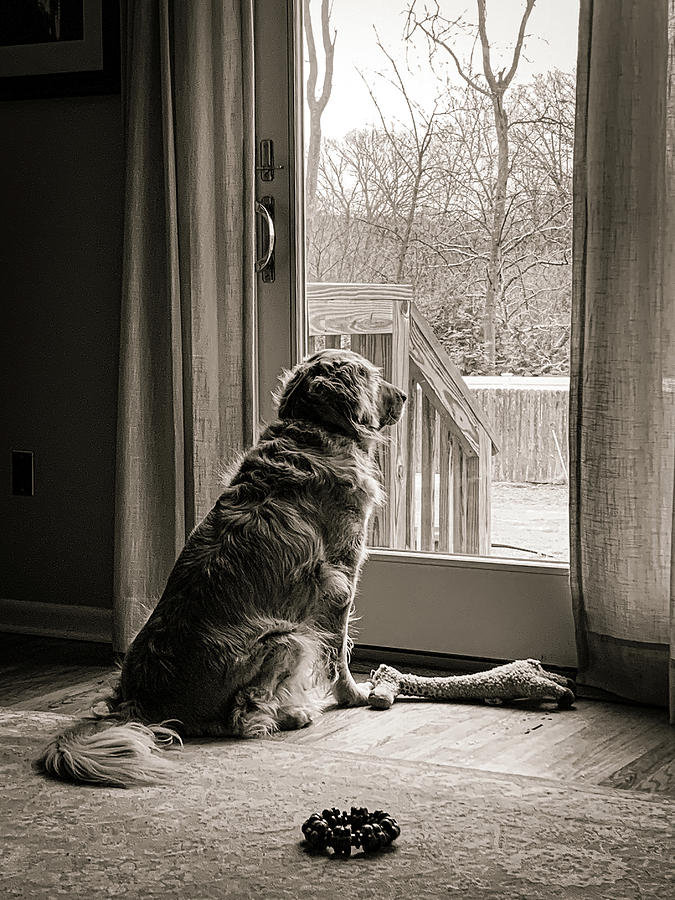 Waiting Photograph by Jim Feldman
