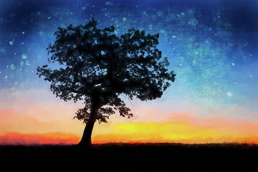 Tree Photograph - Waiting on the Sun ap by Dan Carmichael