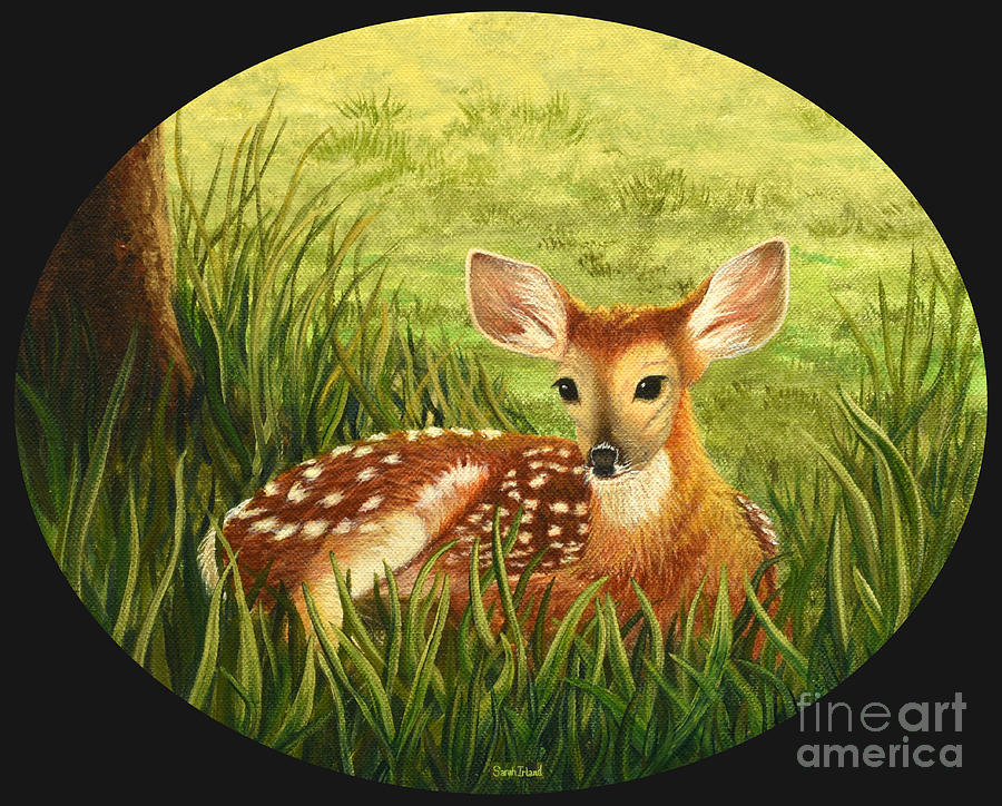 Deer Painting - Waiting, Oval Design by Sarah Irland