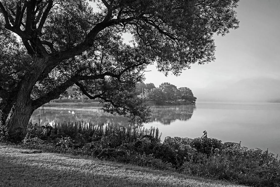 Wakefield MA Lake lake Quannapowitt Tree Misty Sunrise Black and White Photograph by Toby McGuire
