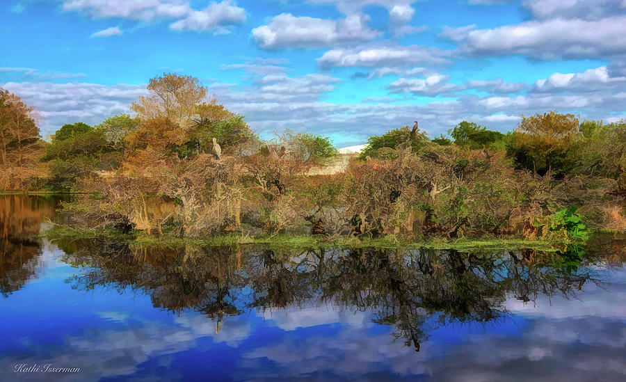 Wakodahatchee Photograph by Kathi Isserman - Fine Art America