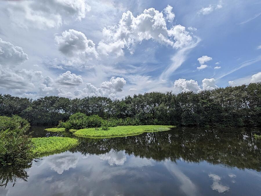 Wakotahatchee 245 Photograph by David McKinney Wakotahatchee 245 Photograph by David McKinney