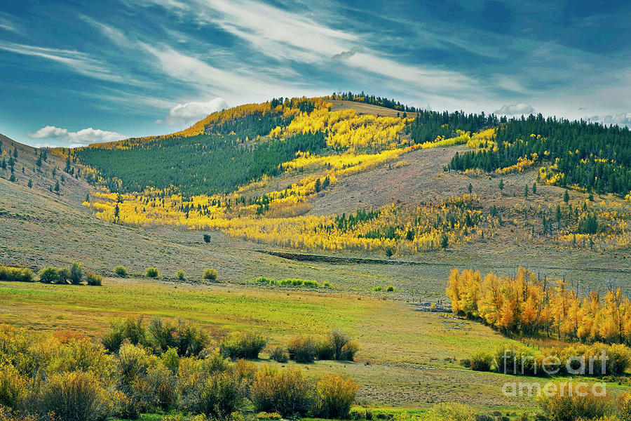Walden Colorado Hillside Photograph by Jon Burch Photography
