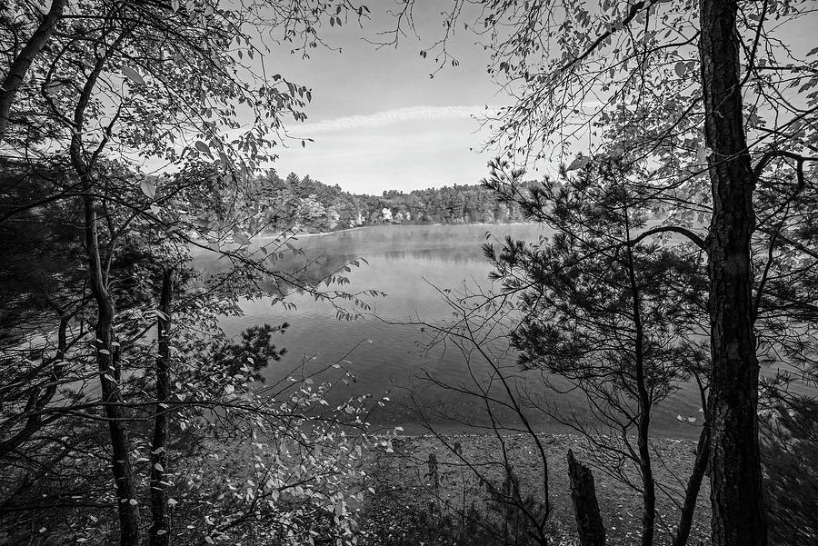 Walden Pond Beautiful Fall Foliage Through the Trees Concord Massachusetts Black and White Photograph by Toby McGuire