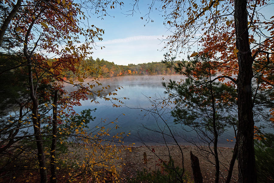 Walden Pond Beautiful Fall Foliage Through the Trees Concord Massachusetts Photograph by Toby McGuire