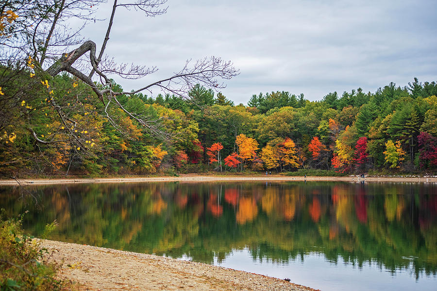 Walden Pond Fall Foliage Concord MA Photograph by Toby McGuire