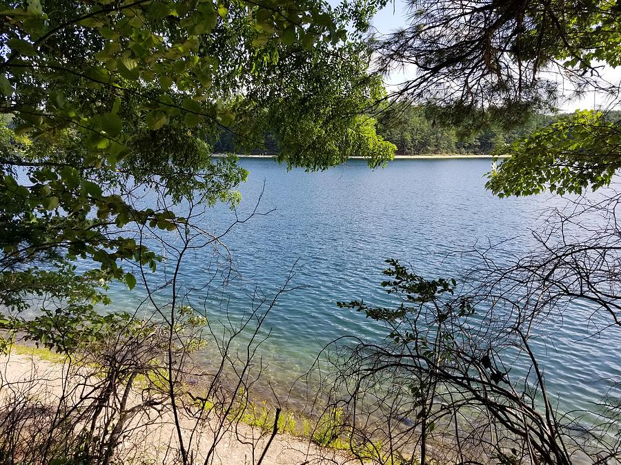 Walden Pond in Summer Photograph by Bill Sheehan - Fine Art America