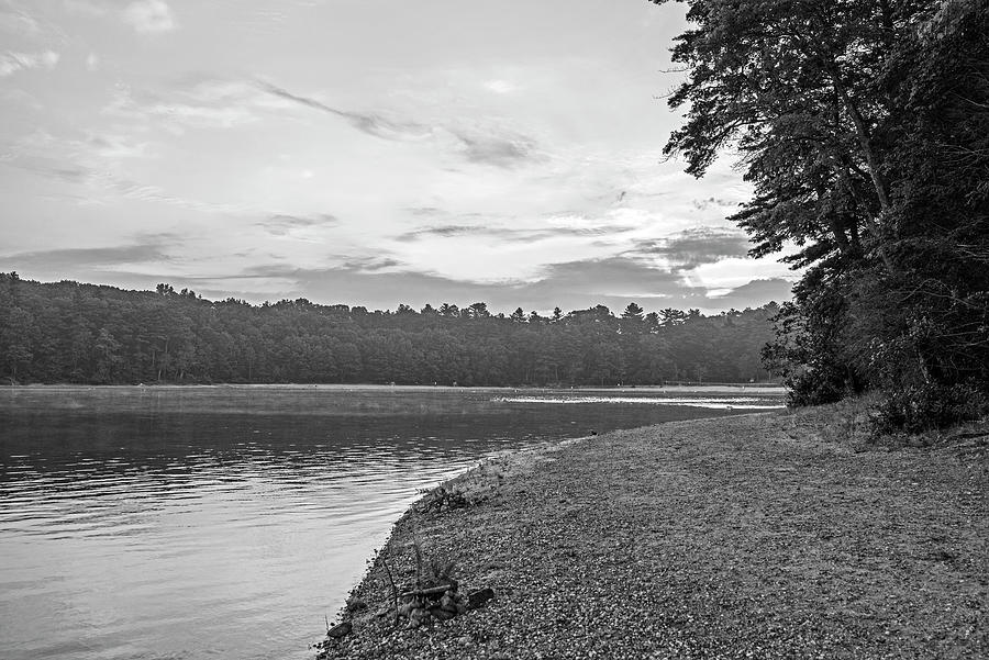 Walden Pond Summer Sunrise Concord MA Black and White Photograph by Toby McGuire
