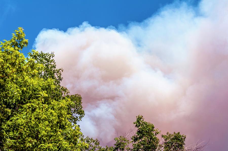 Waldo Canyon Fire Begins 2 Photograph by Jerry Sodorff